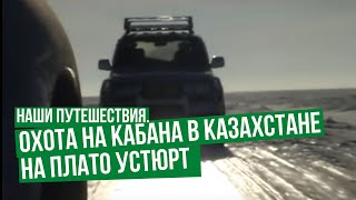Наши путешествия. Охота на кабана в Казахстане на плато Устюрт