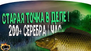 НА ЭТОЙ ТОЧКЕ РАЗДАЕТ? ● РОЗЫГРЫШ ● Русская Рыбалка 4