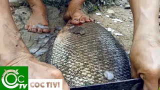 TÁT AO BẮT CÁ THẾ NÀY MỚI THÍCH