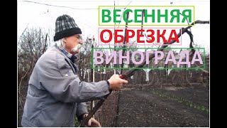 Обрезали виноградные кусты в арке