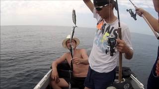 Ловля пеламиды рыбалка на пеламиду рыбалка в черное море