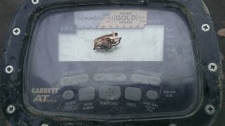 Коп на пляже. Золото и серебро  Garrett AT Gold  Metal detecting on beach. Gold & silver
