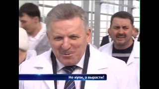 Огурцы ...опережающего развития! Почти агроном Павел Игошин проинспектировал чудо-теплицы.