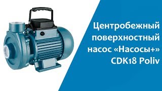 Центробежный поверхностный насос «Насосы +» СDK18 Poliv