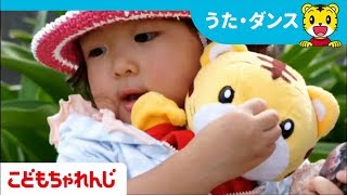 こどもちゃれんじ25周年オリジナルソング　きみに　あえたね 第1弾【しまじろうチャンネル公式】