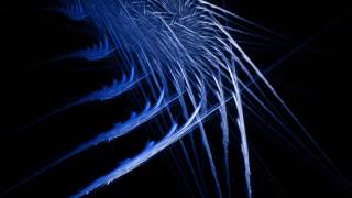 abraxas 00003