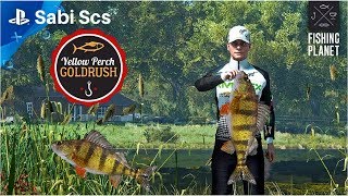 Fishing Planet - How To Win Yellow Perch GOLDRUSH Competition, Emerland Lake,New York