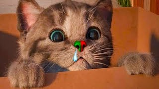 МАЛЕНЬКИЙ КОТЕНОК для детей ! Мультик игра про милого котика. Спасаем и лечим кота #пурумчата