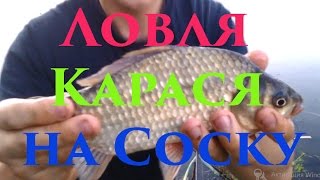 Карась на ПЕНОПЛАСТ!!! Ловля карася на СОСКУ Снасть СОСКА