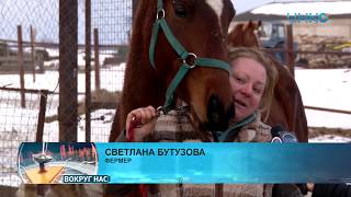 Экоферма Светланы Бутузовой в Любичах.