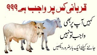 Qurbani Kis Kis Pr Wajib Hai | YouTube