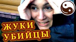 ПОЛЧИЩЕ ОГРОМНЫХ ЖУКОВ ☯ Культурный код