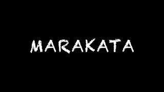 Психодинамическая игра MARAKATA учебное видео