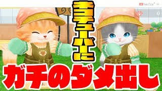 ネコチューバーにガチダメ出し【激アツスープを作る＆手紙出したい人＆お金稼ぎ】ネコトモ実況#8