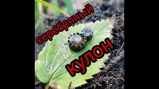 Серебряный кулон.Снайперка собирает урожай.Коп2017