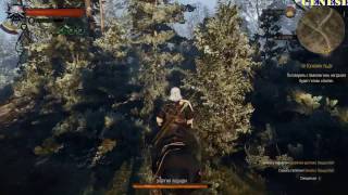 The Witcher 3 Wild Hunt  Скрытый квест Невеста для барда