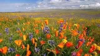Загадки для детей. Загадки для детей о природе