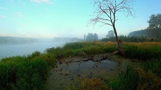Рыбалка на новом очень красивом водоеме | Ловля плотвы и линя на фидер