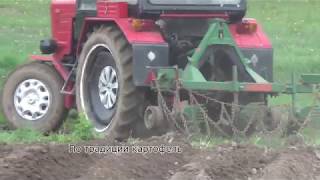Окучник на трактор Т25. Первая обгонка картофеля.