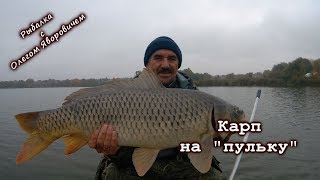 Ловля крупного карпа на пулю.