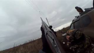 Crow shooting  2017-11-06  Охота на ворон