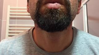 Beard Trimming- a 15 month beard - goatee beard - Braun MGK 3080 All in One