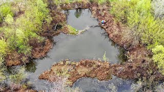 В ЭТОЙ ЛУЖЕ ПОЛНО РЫБЫ! КАРАСЬ, ОКУНЬ, ЧЕБАК, ЯЗЬ,ЩУКА! Рыбалка на поплавок