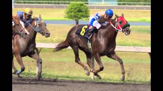 Z Thoroughbred Racing Offers Horse Racing Partnerships!