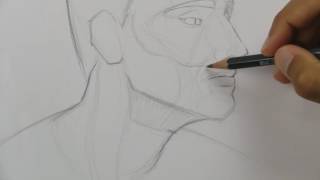 Étapes pour dessiner les barbes facilement !