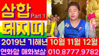 2019년 하반기 삼합 돼지띠 운세 Part 1 - 안산 연화암 매화보살 용한 점집 추천 후기