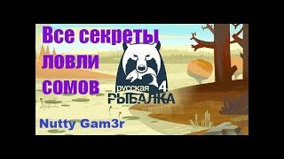 Русская Рыбалка 4 - Как, где и чем ловить самых больших сомов...