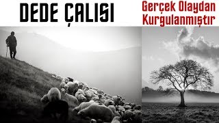 DEDE ÇALISI - Eşkıyanın Büyülü Definesi - Korku Hikayeleri