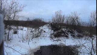 зимняя охота на бобра для новичков