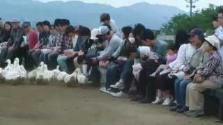 "No ni saku hana no youni" Kobayashi Asei, gt Hidekickun
