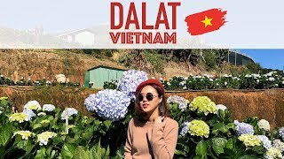 VLOG เที่ยวดาลัด เวียดนาม  DALAT VIETNAM