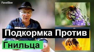 №133 Весенняя Профилактическая  Подкормка Против Гнильца Пчеловодство для начинающих - Пасека