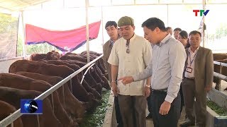 (TTV) Phó Bí thư Thường trực Tỉnh ủy Đỗ Trọng Hưng kiểm tra tại huyện Quan Sơn