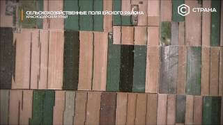 Сельскохозяйственные поля Краснодарского края | Телеканал «Страна» | СканЭкс | Вид из космоса