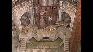 Fort Boyard (Форт Боярд). Серия 1. Русский сезон.