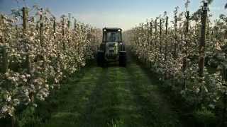 Richtig gute Arbeit. Traktoren von CLAAS. Jork, Deutschland. / 2015 / de
