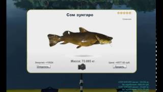 Трофейная Рыбалка   Прохождение Амазонки   Открытие Инии   Сом Зунгаро