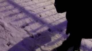 Измена мужу за 10 тысяч рублей ( Томск ) Prank / Пранк