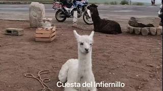 Norte de Argentina en Moto