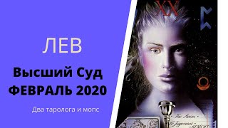 Лев. Высший суд. Февраль 2020