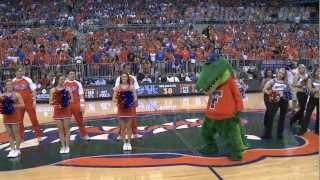 HARLEM SHAKE COMPILATION (BEST SHAKE & FAMOUS PEOPLE T-PAIN)