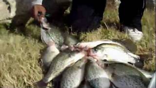 Crappie Fishing on Lake Tawakoni,Tx 2010 With BNB Crappie Jigs & Crappie Dale