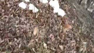 Ciasne miejsce - brudne miejsce