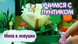 Мила в ловушке ? Учимся с Лунтиком ? Новая серия