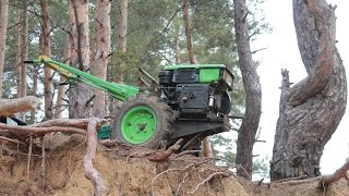 Покатушки в лісі