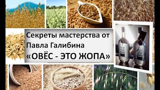 Овёс - это (...пиип...)|Ярославские винокурни|дистиллят|винокурение|самогоноварение|азбука винокура